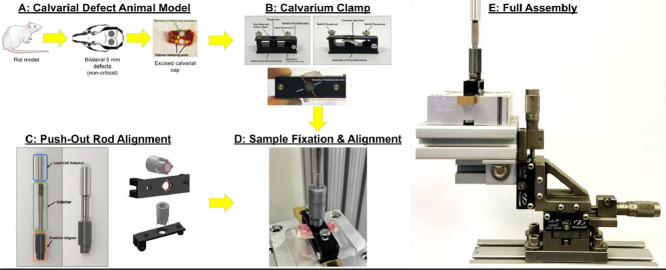 Image, graphical abstract