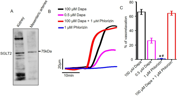 Figure 7