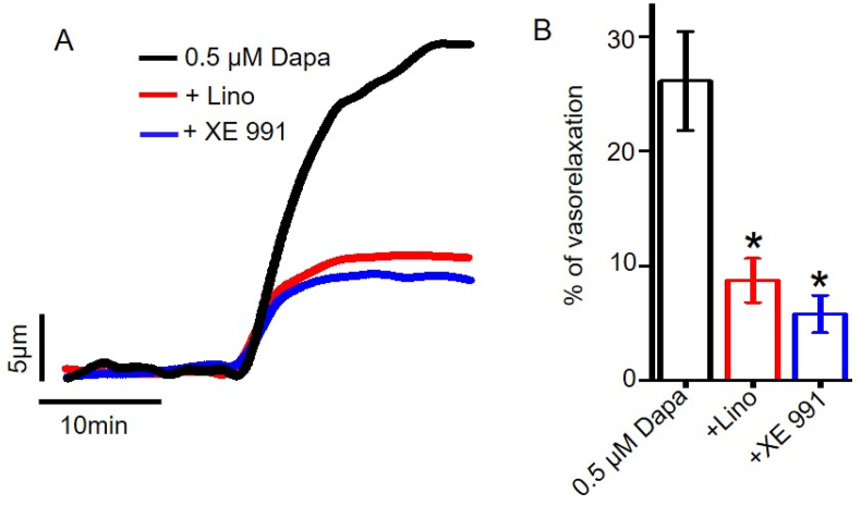 Figure 6