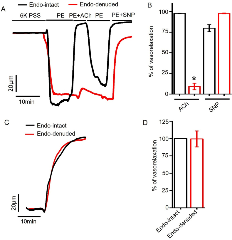 Figure 4