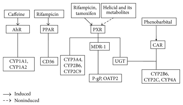 Figure 9