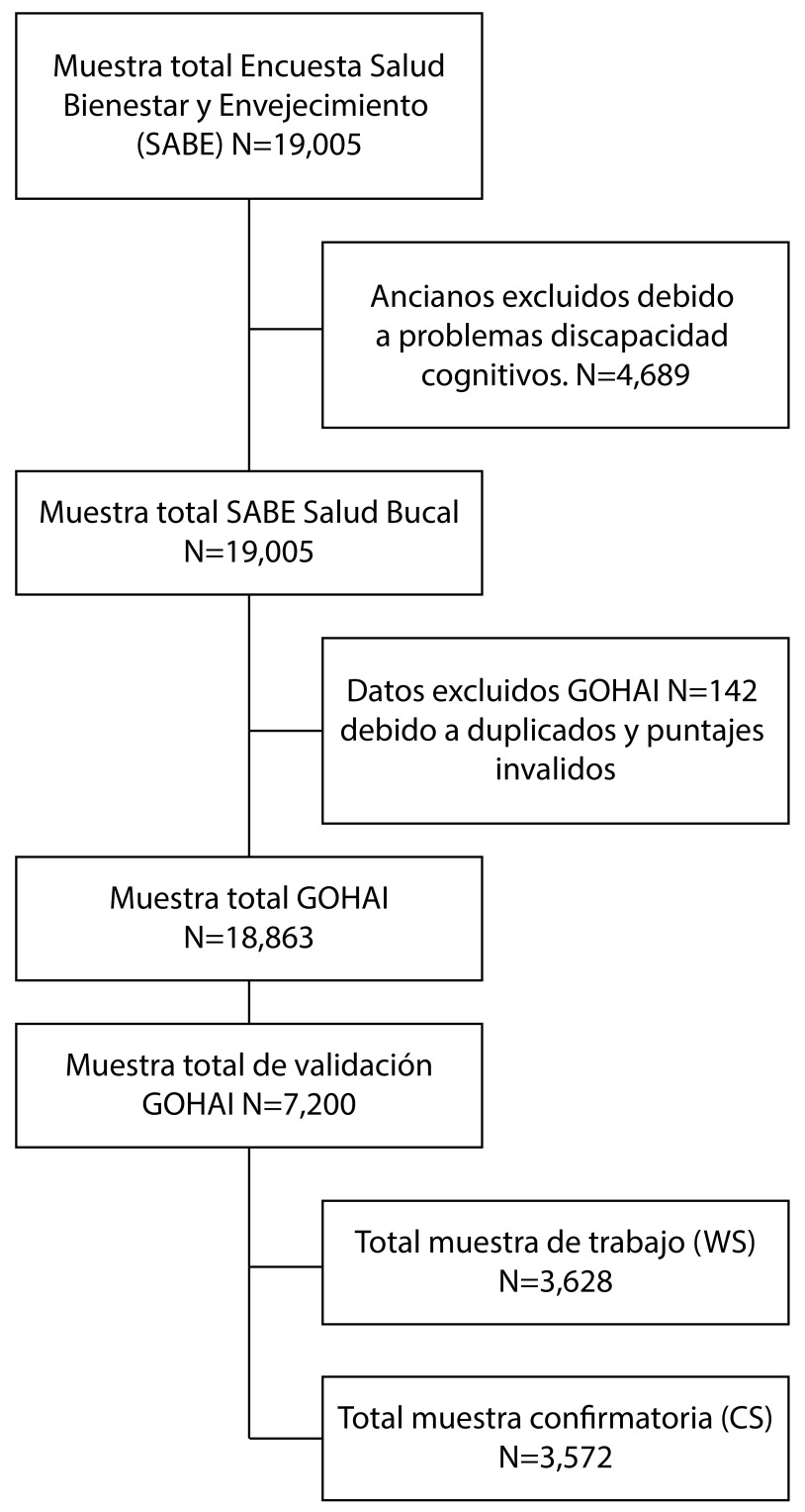 Figura 1