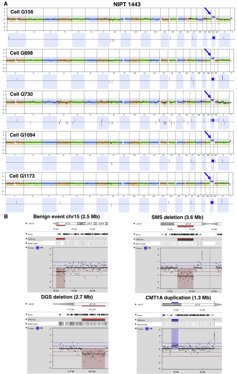 Figure 4