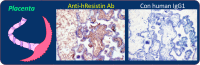 Fig 8
