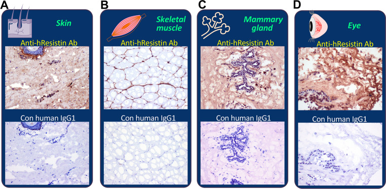 Fig 10