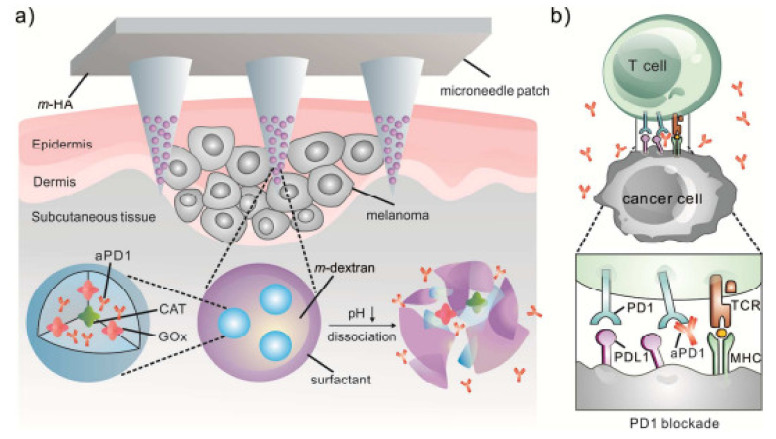 Figure 19