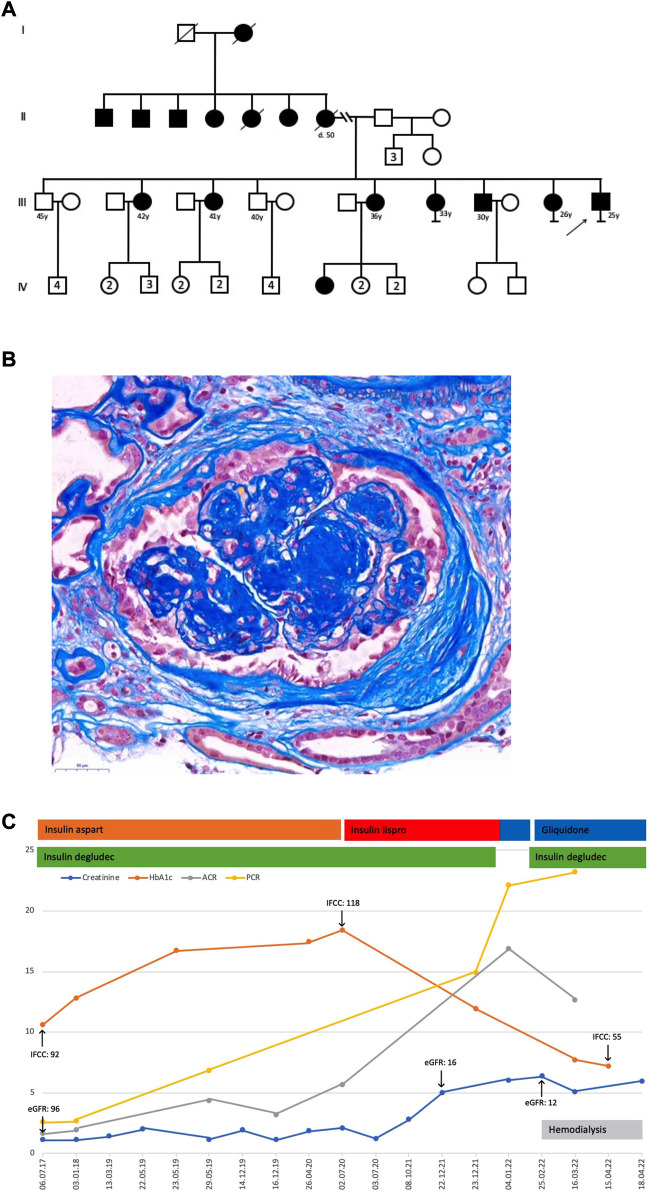 FIGURE 1