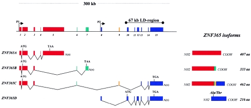 Figure  3