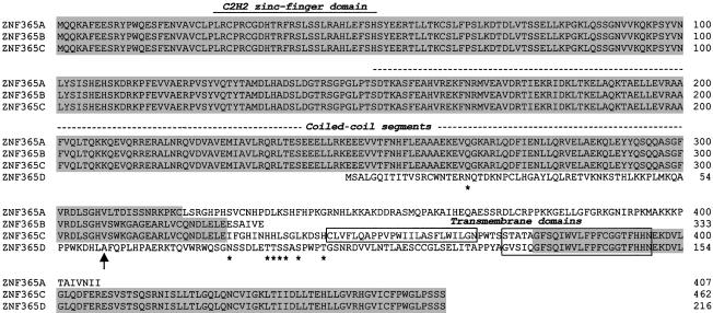 Figure  4