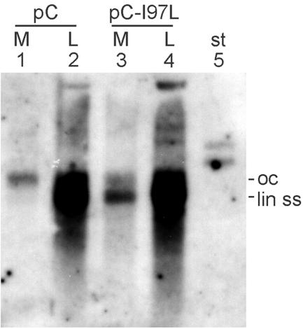 FIG. 4.