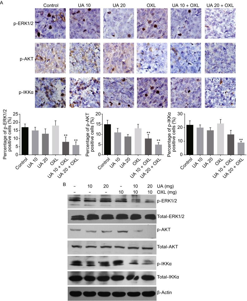 Figure 5