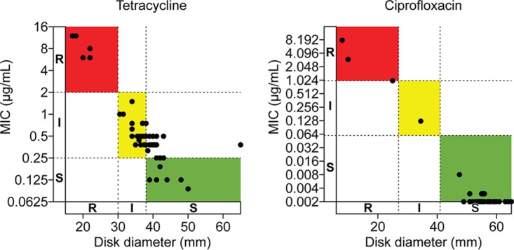 FIG 3