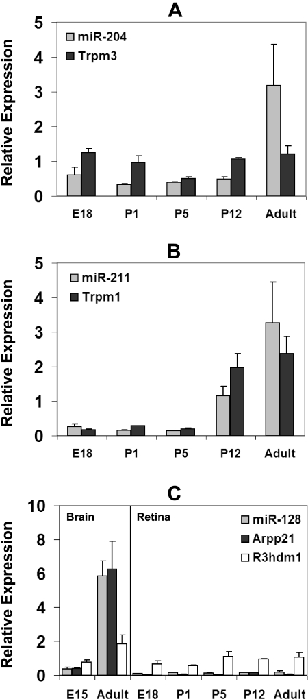 Figure 5.