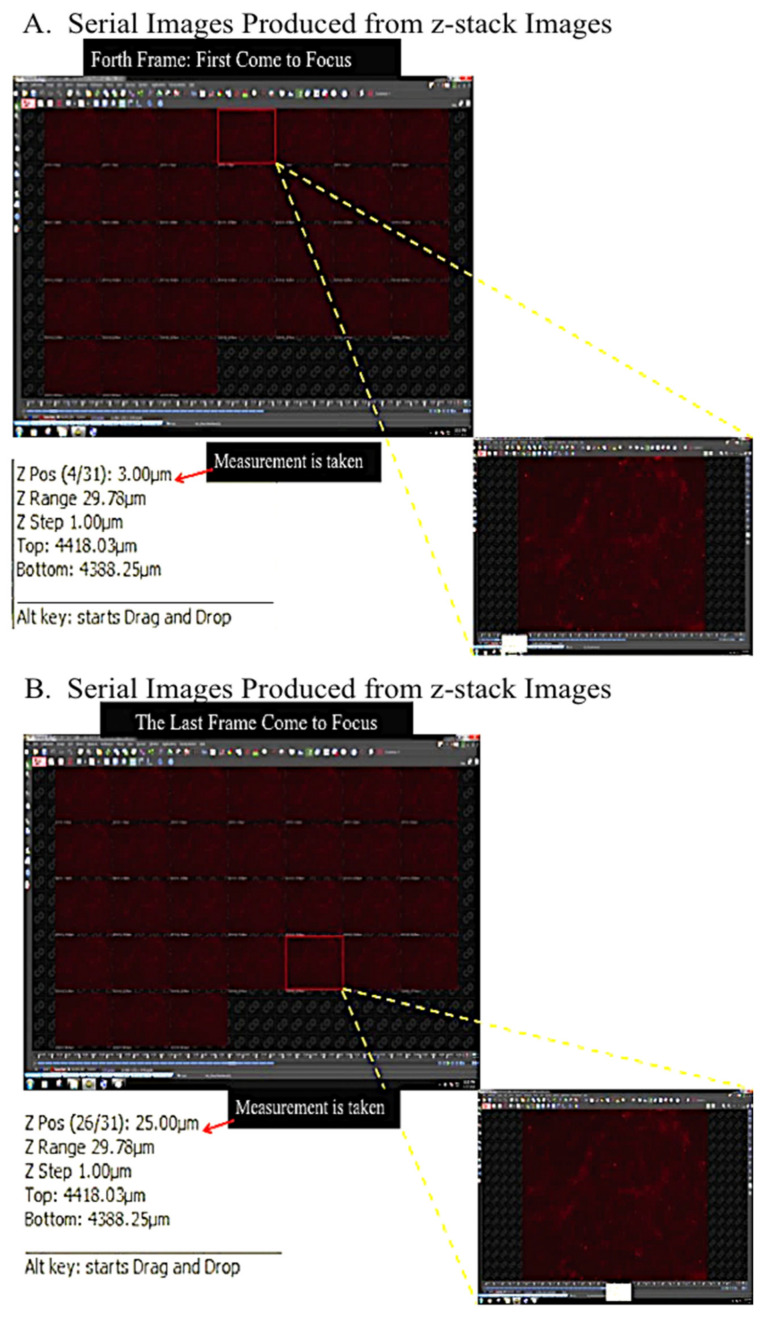 Figure 13