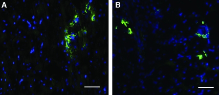 FIG. 8.