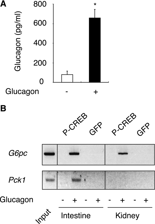 FIG. 6.