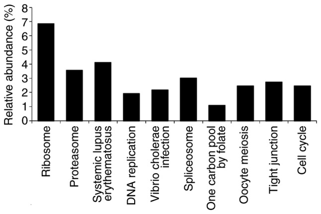 Figure 2.