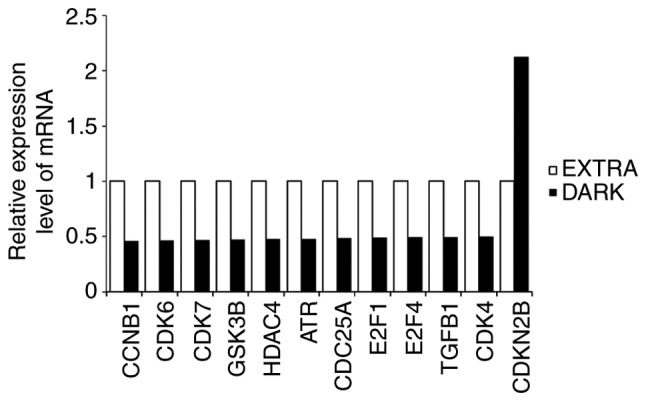 Figure 5.