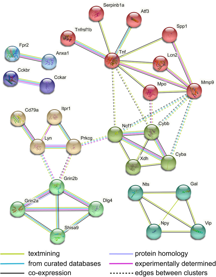 Figure 13