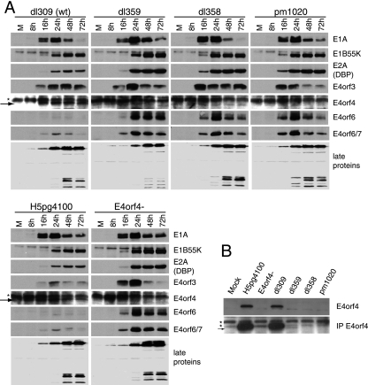 FIG. 4.