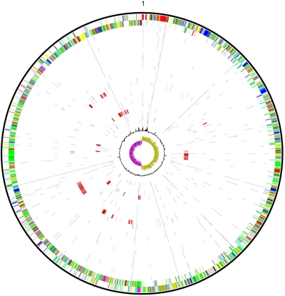 Fig. 2.