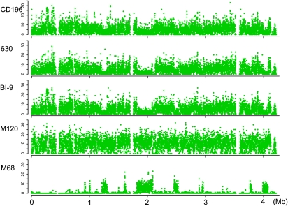 Fig. 3.