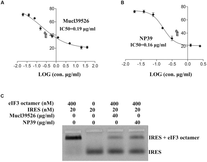 FIGURE 3