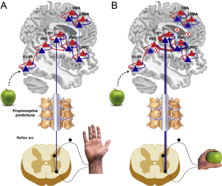 Fig. 4