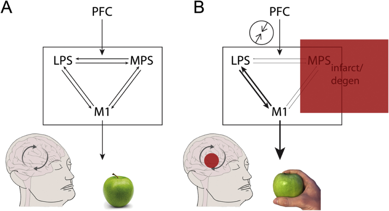 Fig. 2