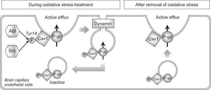 Figure 7.