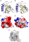 Fig. 5.