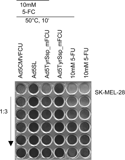 FIG. 9.