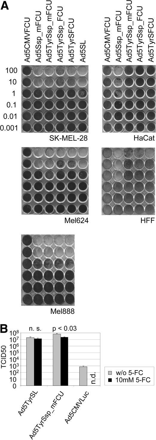 FIG. 7.