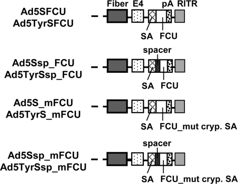 FIG. 5.