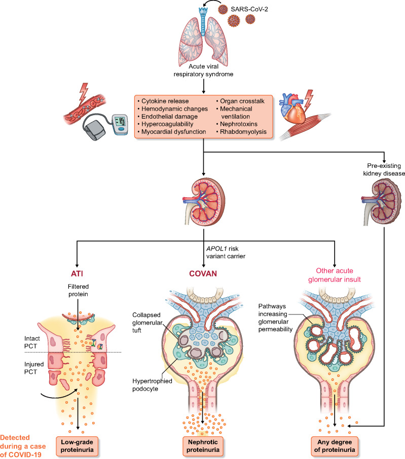 FIGURE 1: