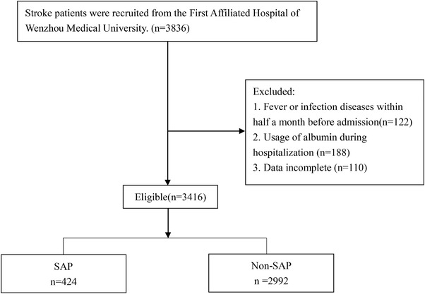 FIGURE 1