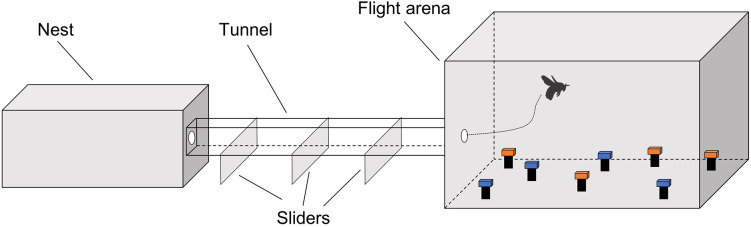 Figure 1—figure supplement 1.