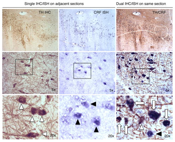 Fig. 4