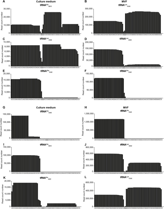 Fig 5