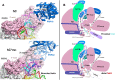 Fig. 7.