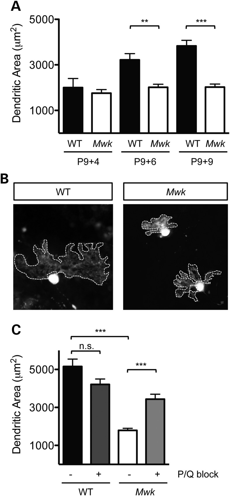 Figure 1.