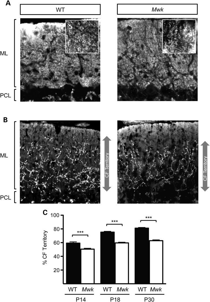 Figure 2.