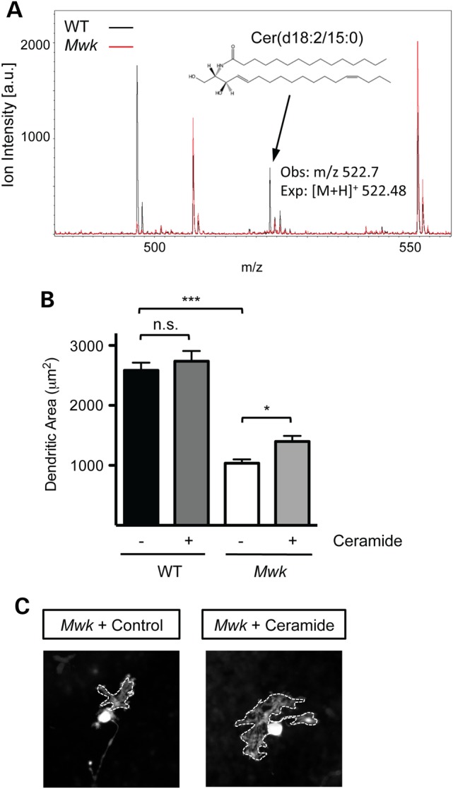 Figure 6.