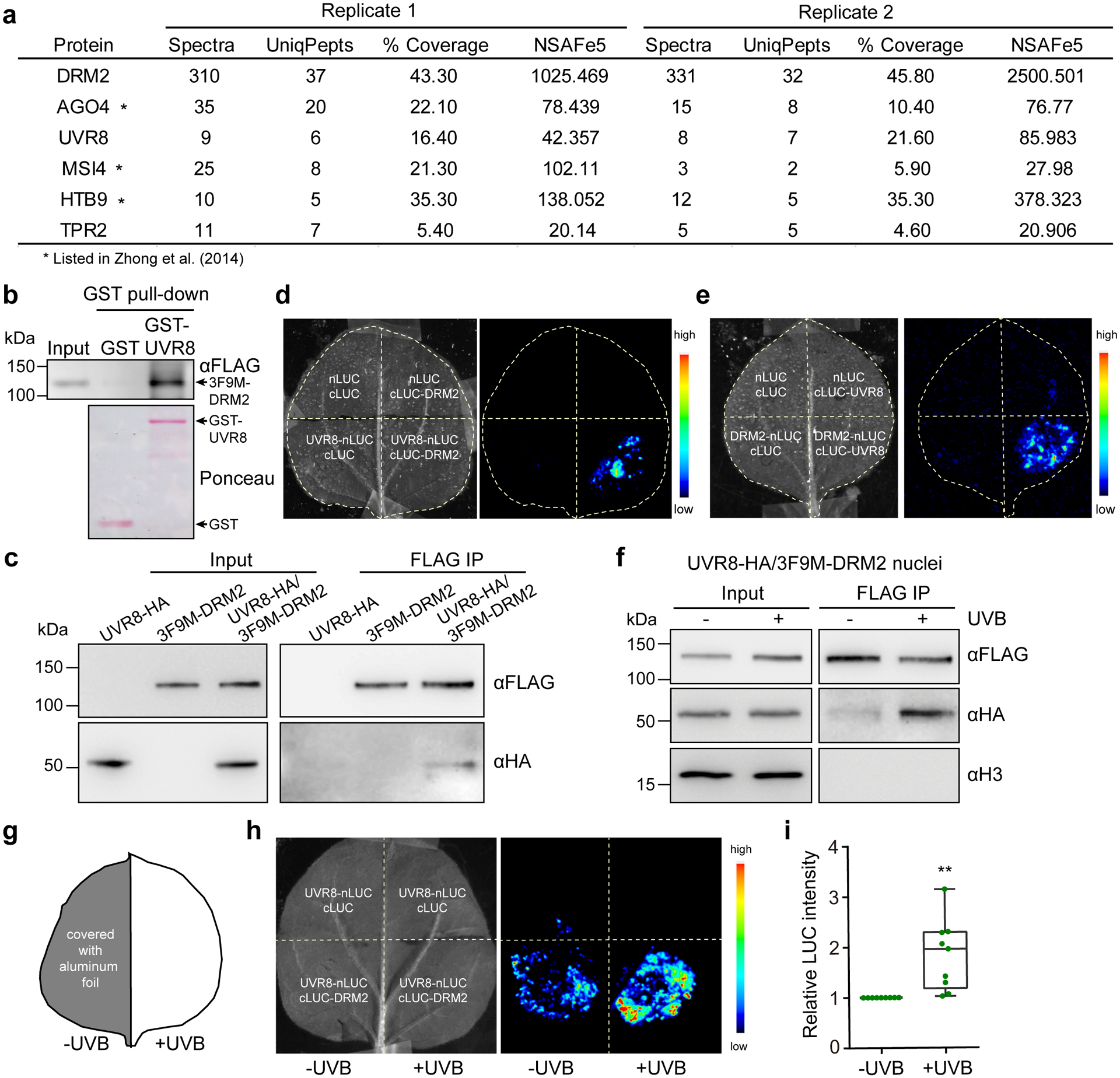 Fig. 4: