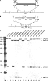 FIG. 1.
