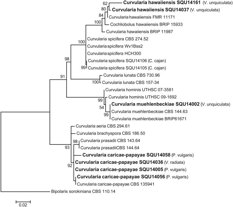 Figure 6