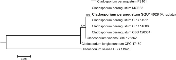 Figure 5