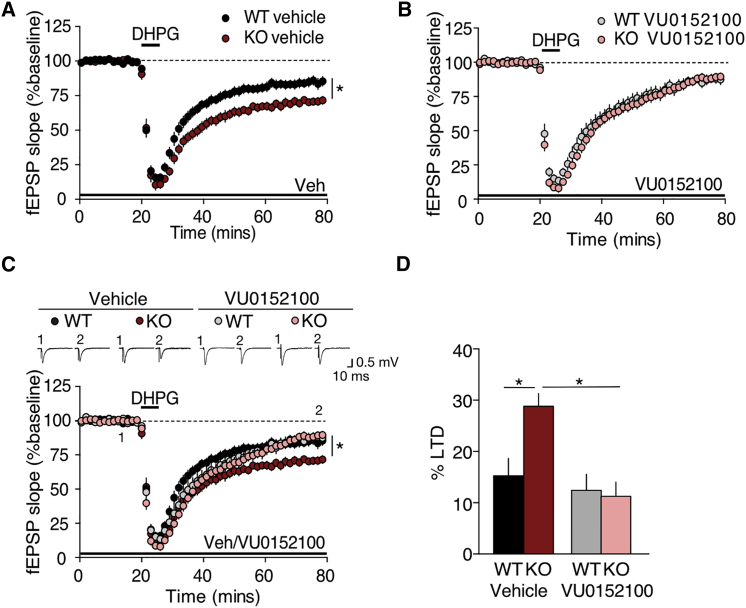 Figure 6