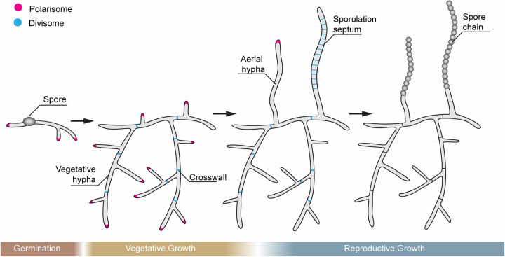 FIG 1