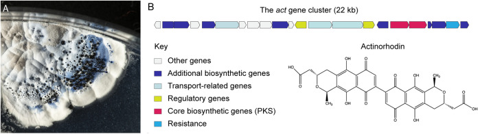 FIG 2